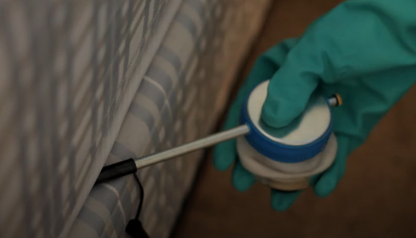 Bed bug extermination – Pest Control Service in Citrus Heights.